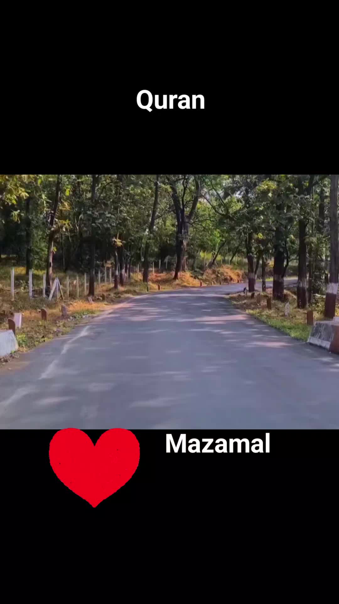@🍁MAZAMAL804
