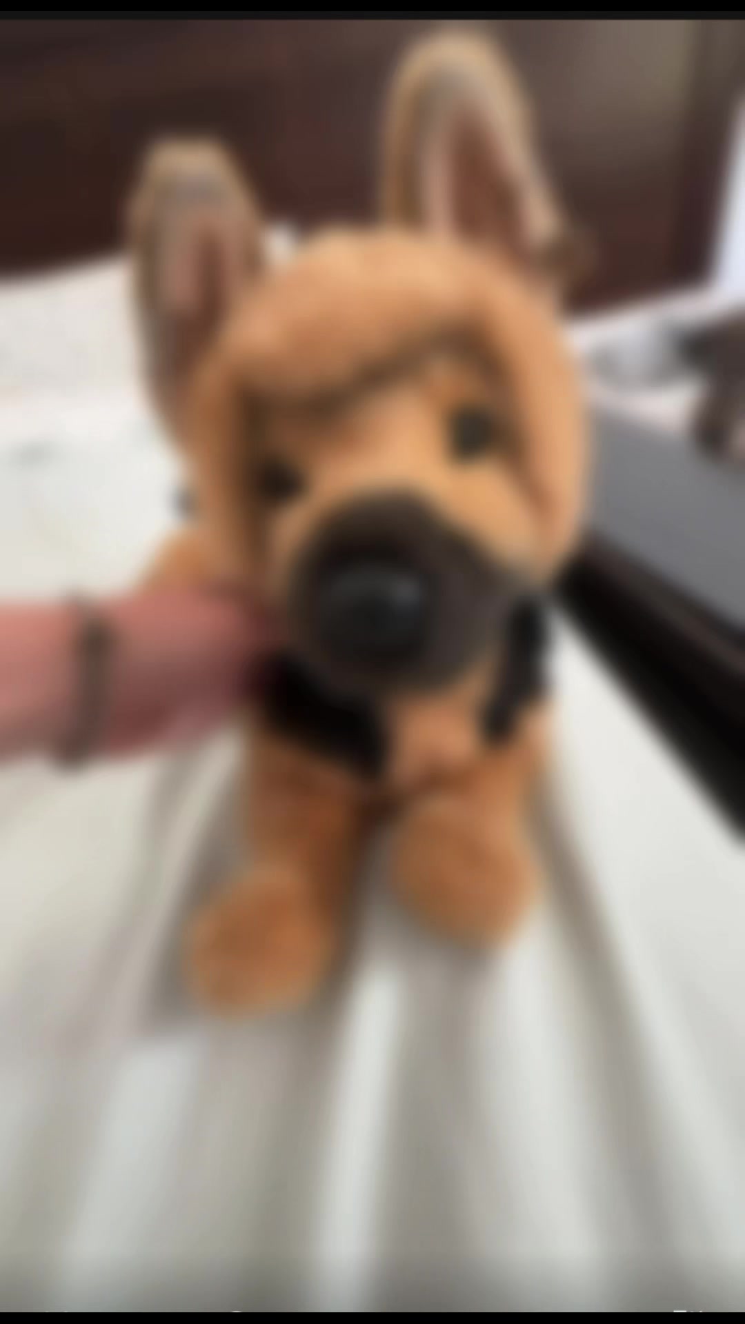 @⸝⸝𝐌𝐢𝐥𝐨.ᐟ.ᐟ ˙𐃷˙