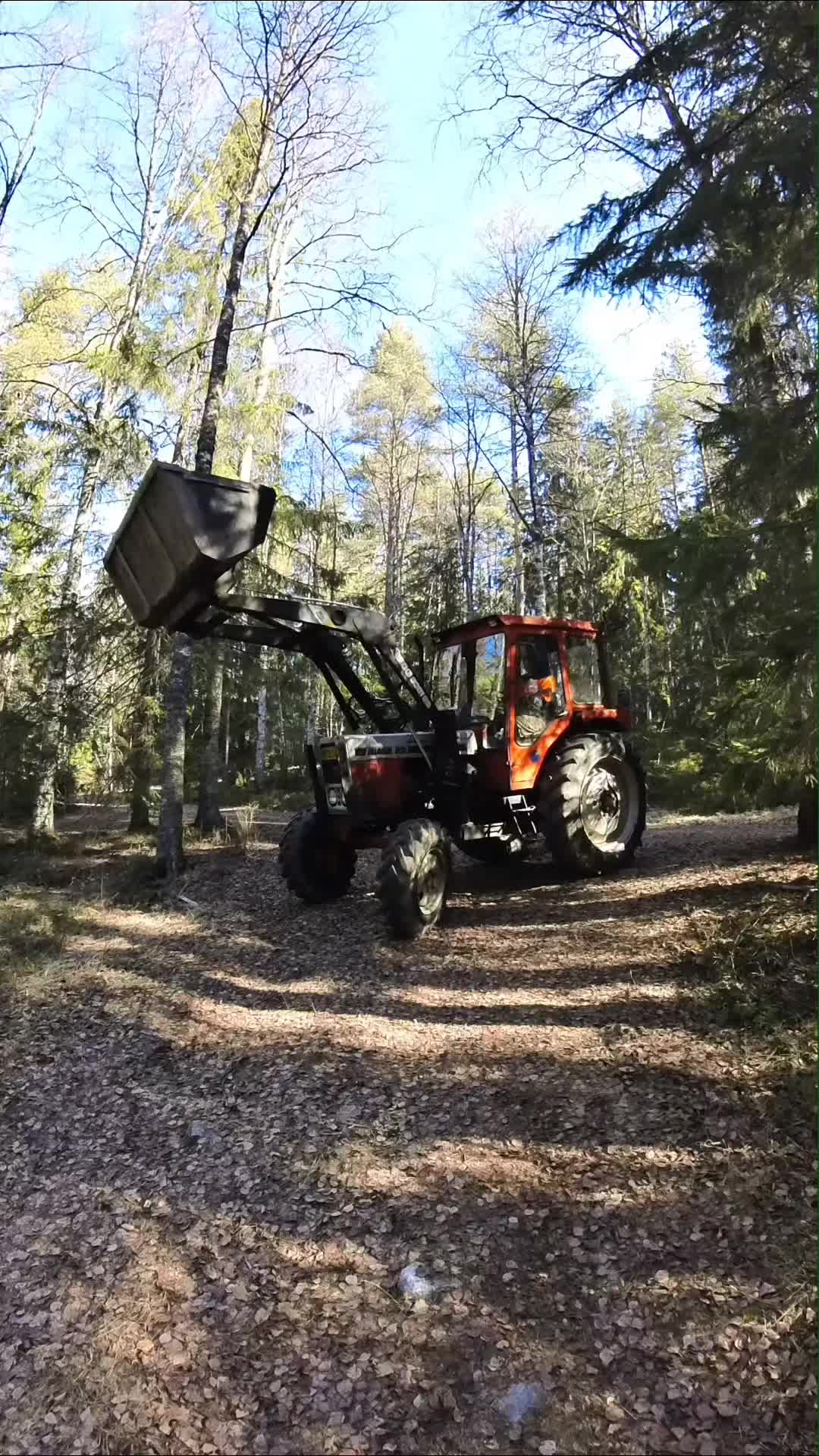 @ForestAndWheels