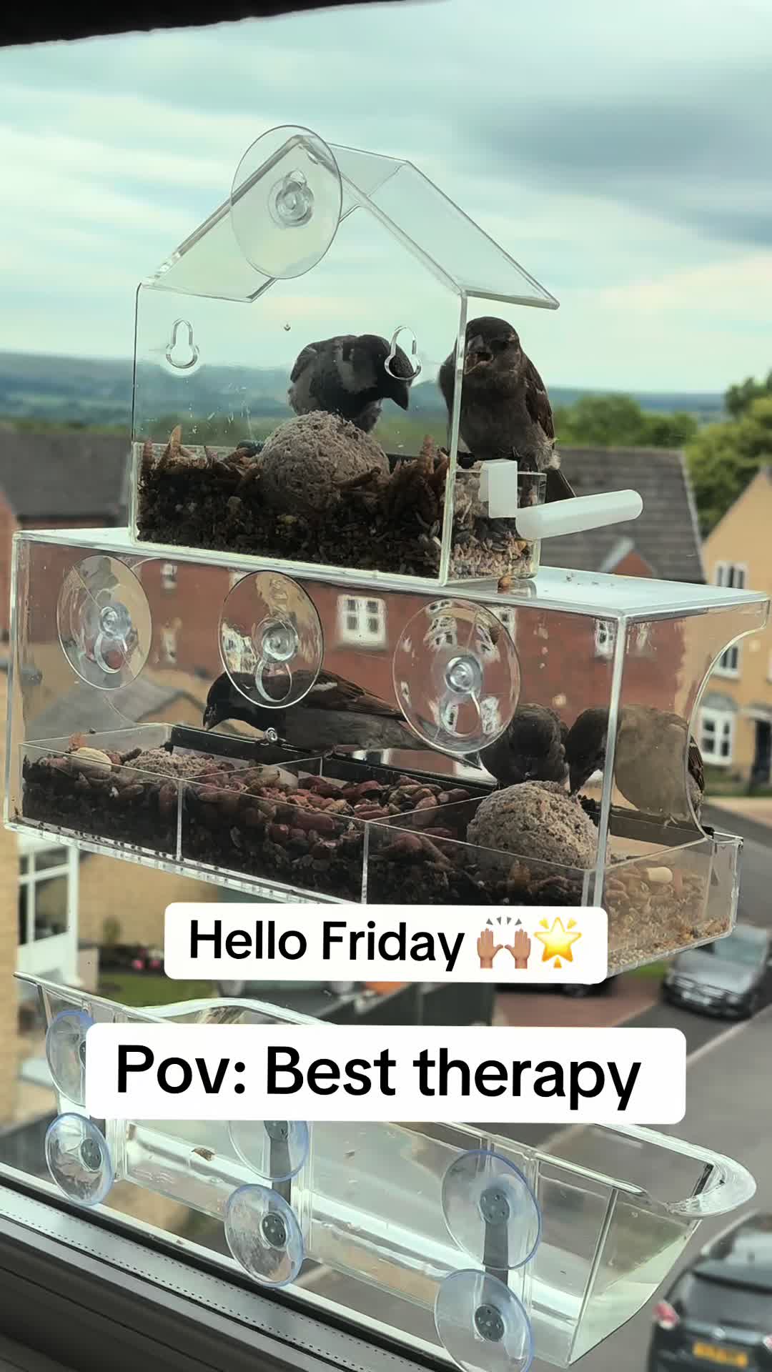 @beaksandbarks