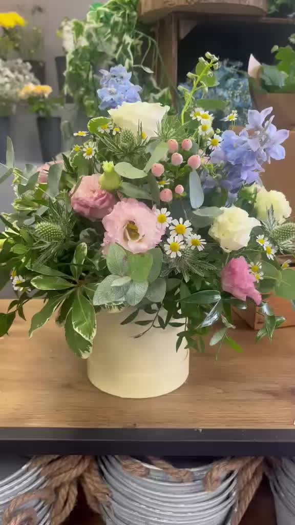 @Elegance of Essex