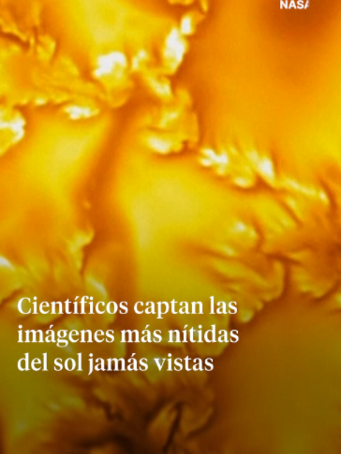 @La Vanguardia 🗞