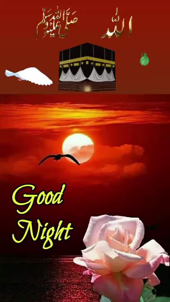 @Zarqa Imran Official