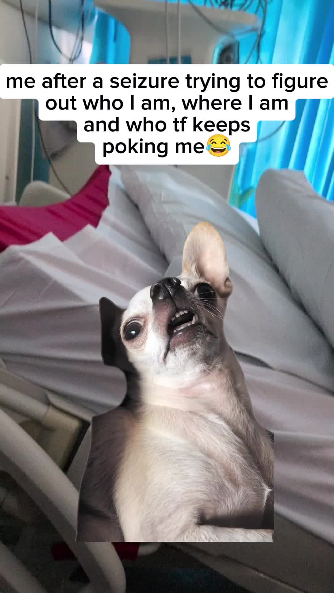 @⚠️𝑣𝑒𝑛𝑡𝑖𝑛𝑔⚠️....