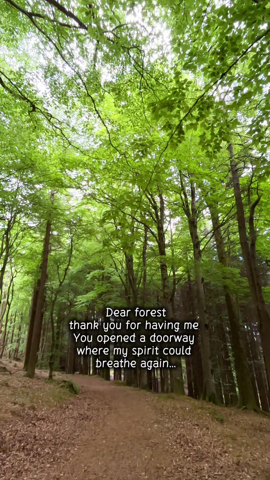 @Mandy Hunter