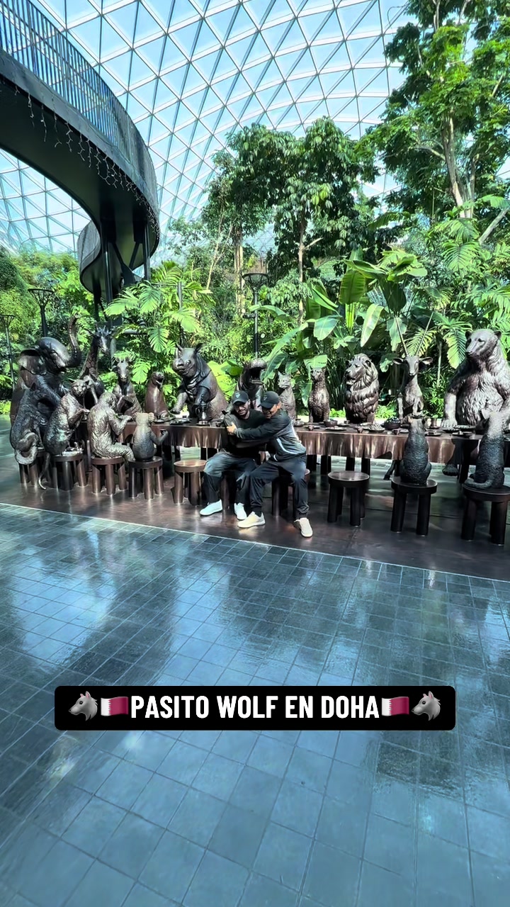 @VASQUEZ-LOBO