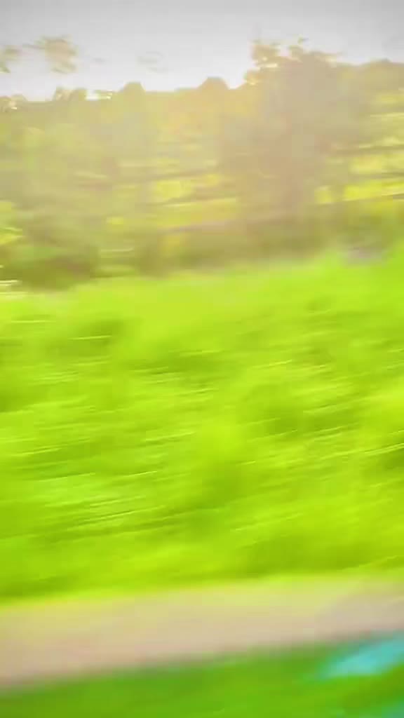 @Nature lover