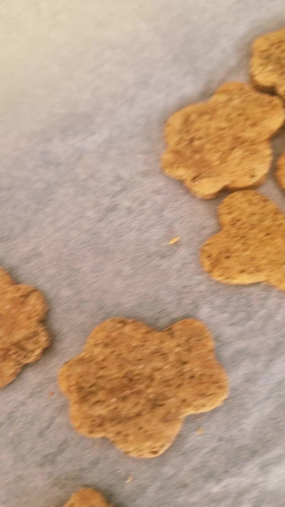@Wellness for Pet