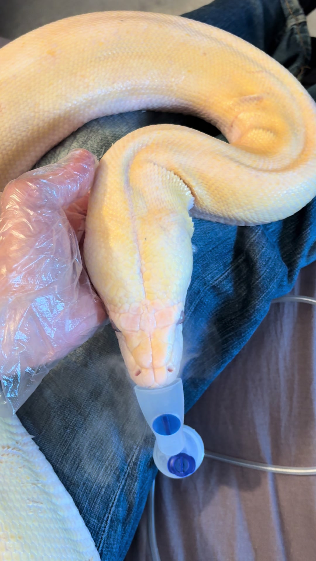@SonnyCherRetics