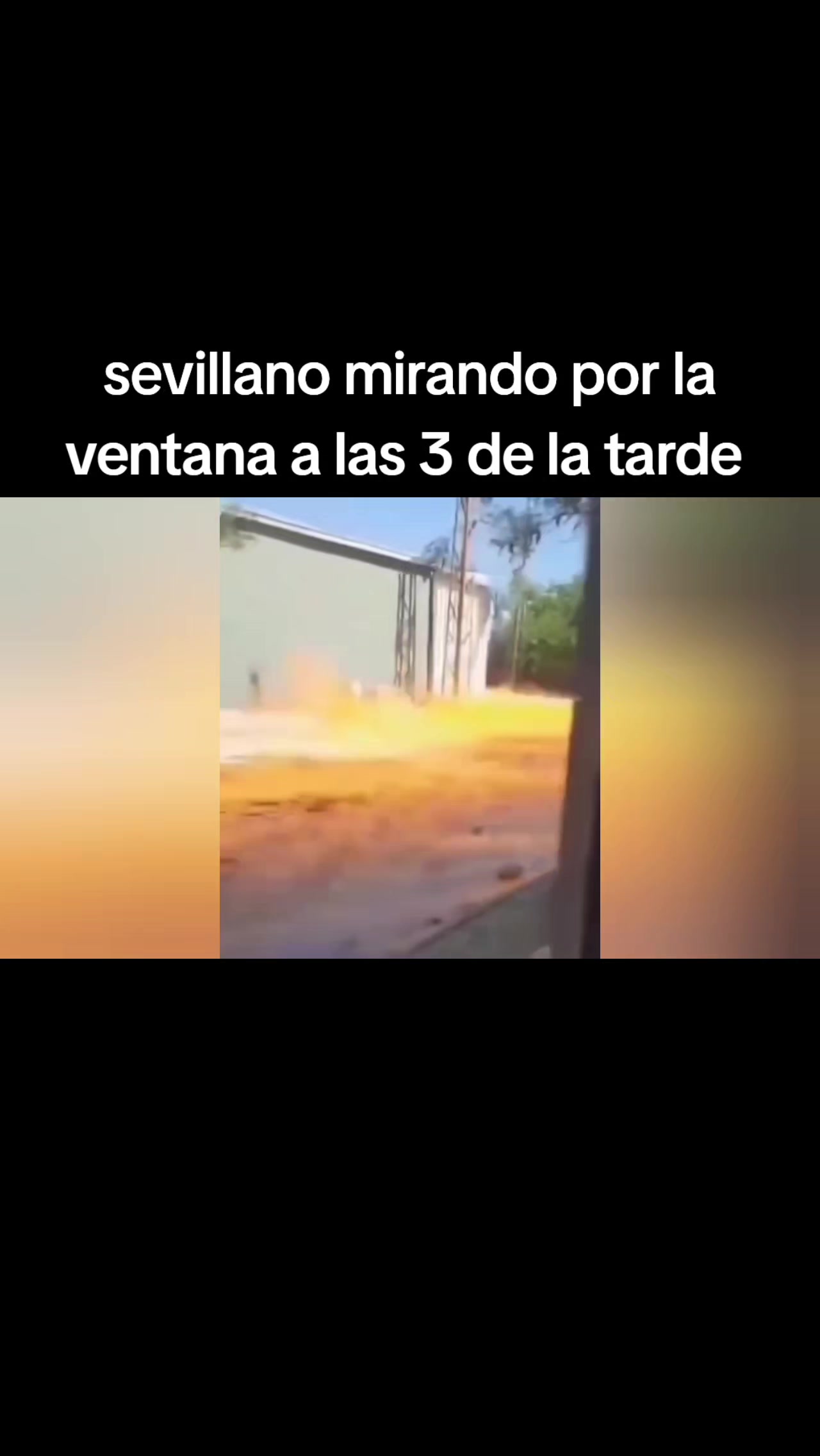 @Manuel Millán Quintana