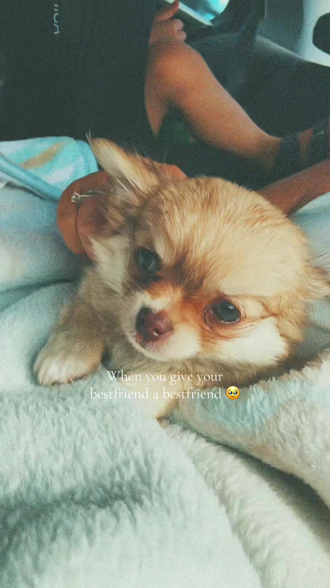 @P ☁️🦋🪽✨