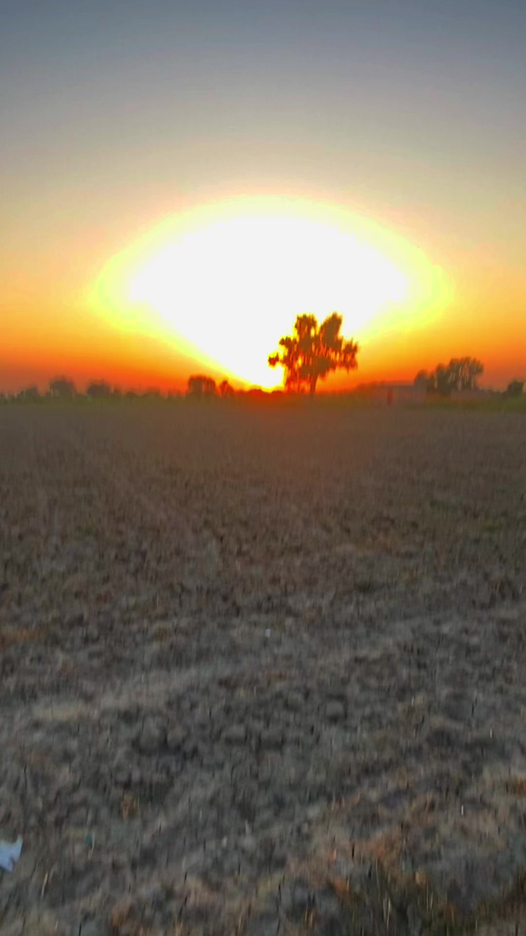 @🥬🎗️پنڈاں آے 🌺