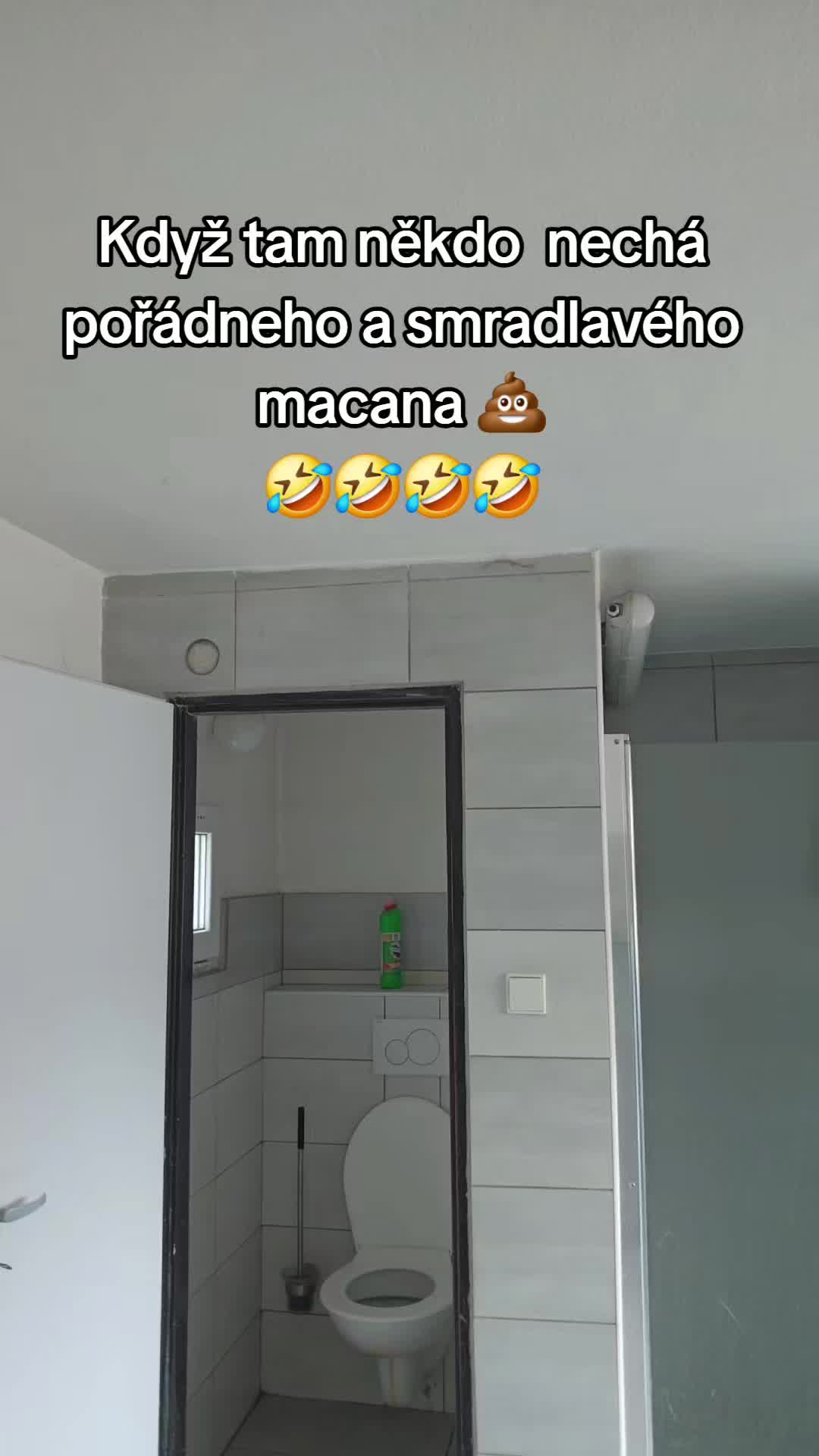 @Kmotr😎