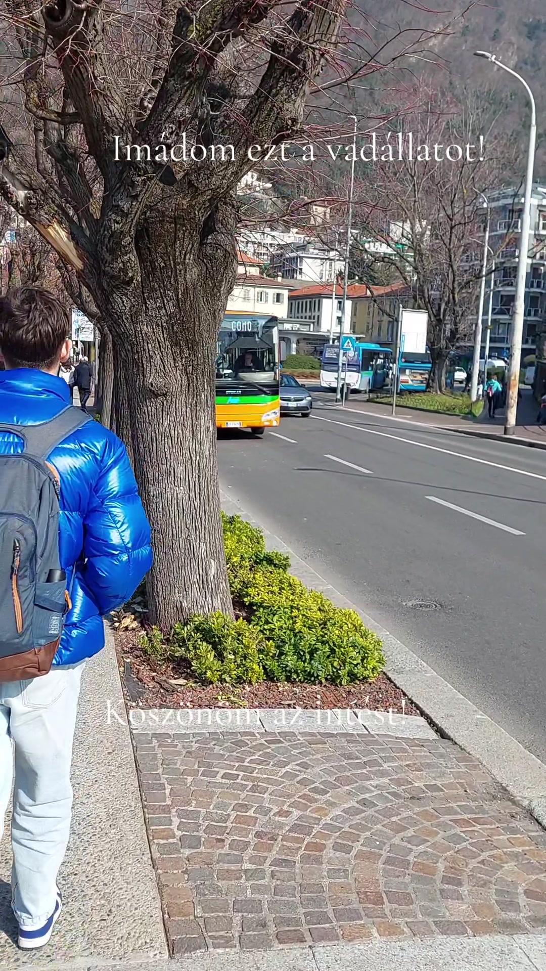 @Kecskeméti buszspotter