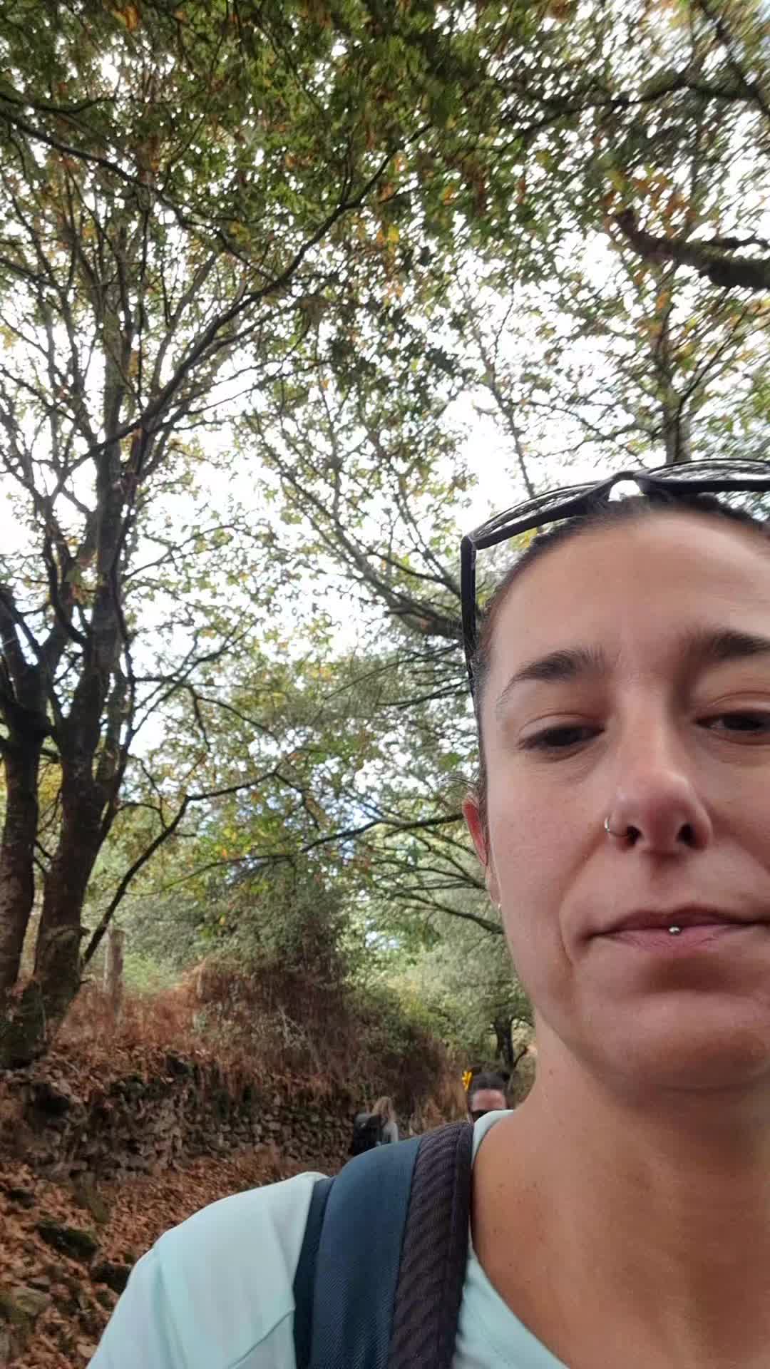 @Vive Rutas