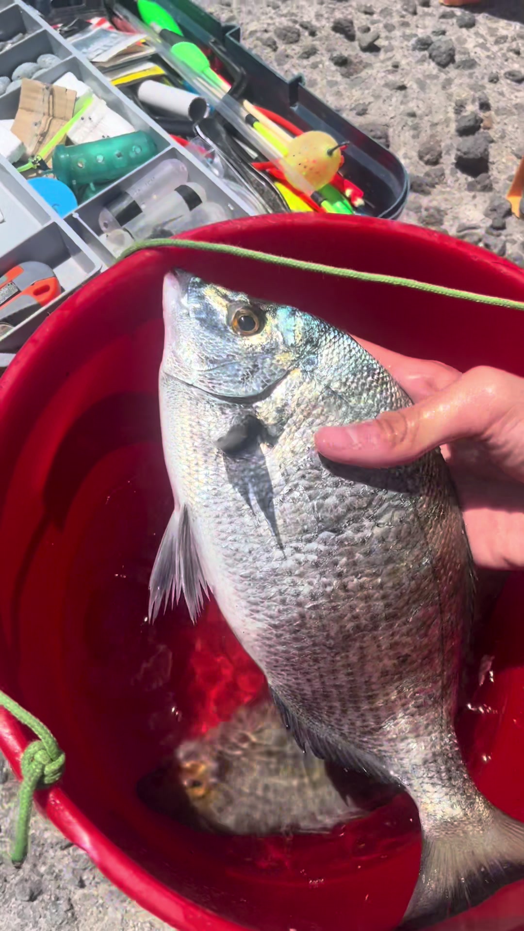 @Gabbo Fishing Catania🐟