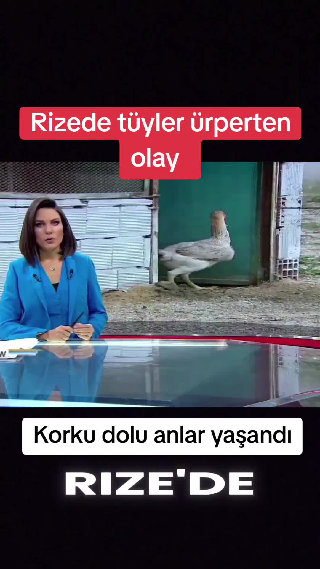 @🌐News_Blitz🌐