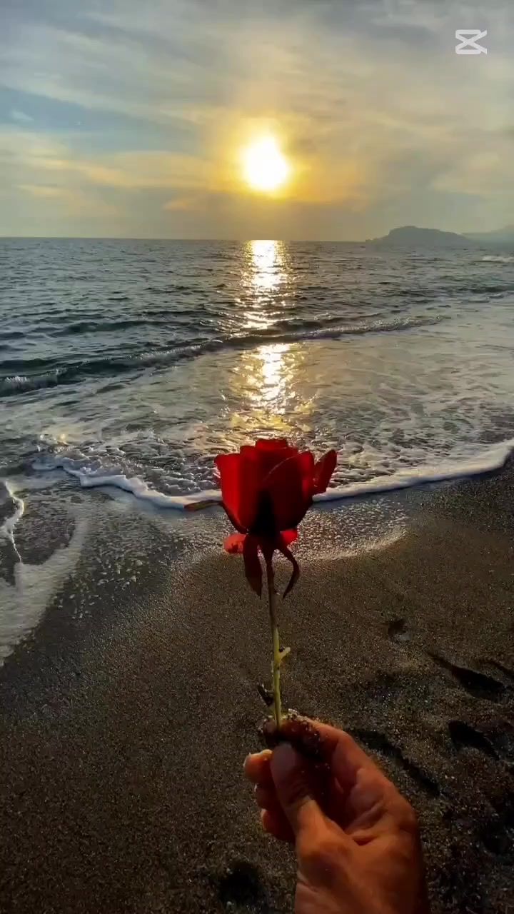 @Carito387