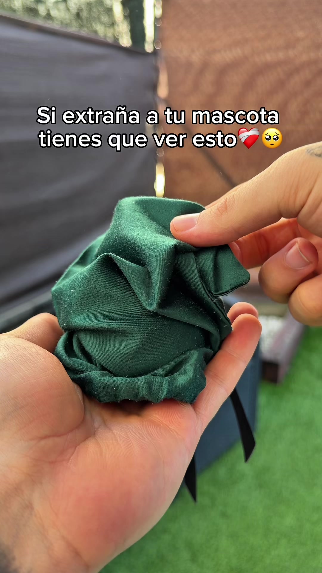 @🔮ENLACE EN LA BI0🔮