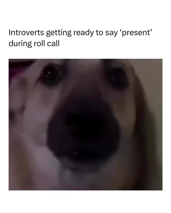 @Memezar