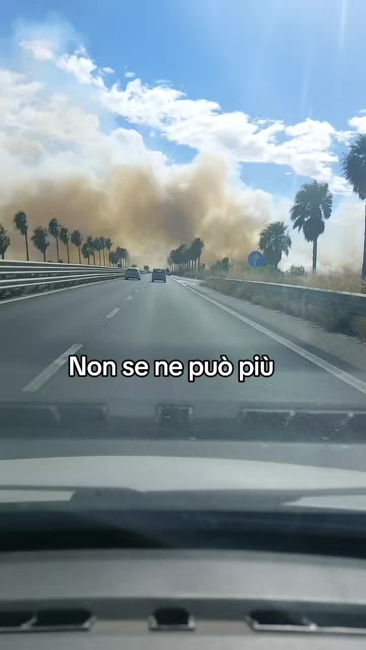 @🤣🤣 LUCASINARO 🤣🤣