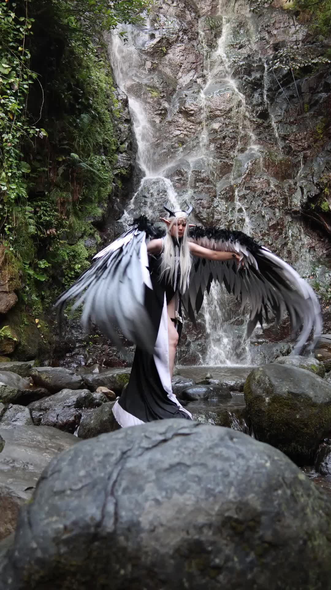 @Angels_PawPrint