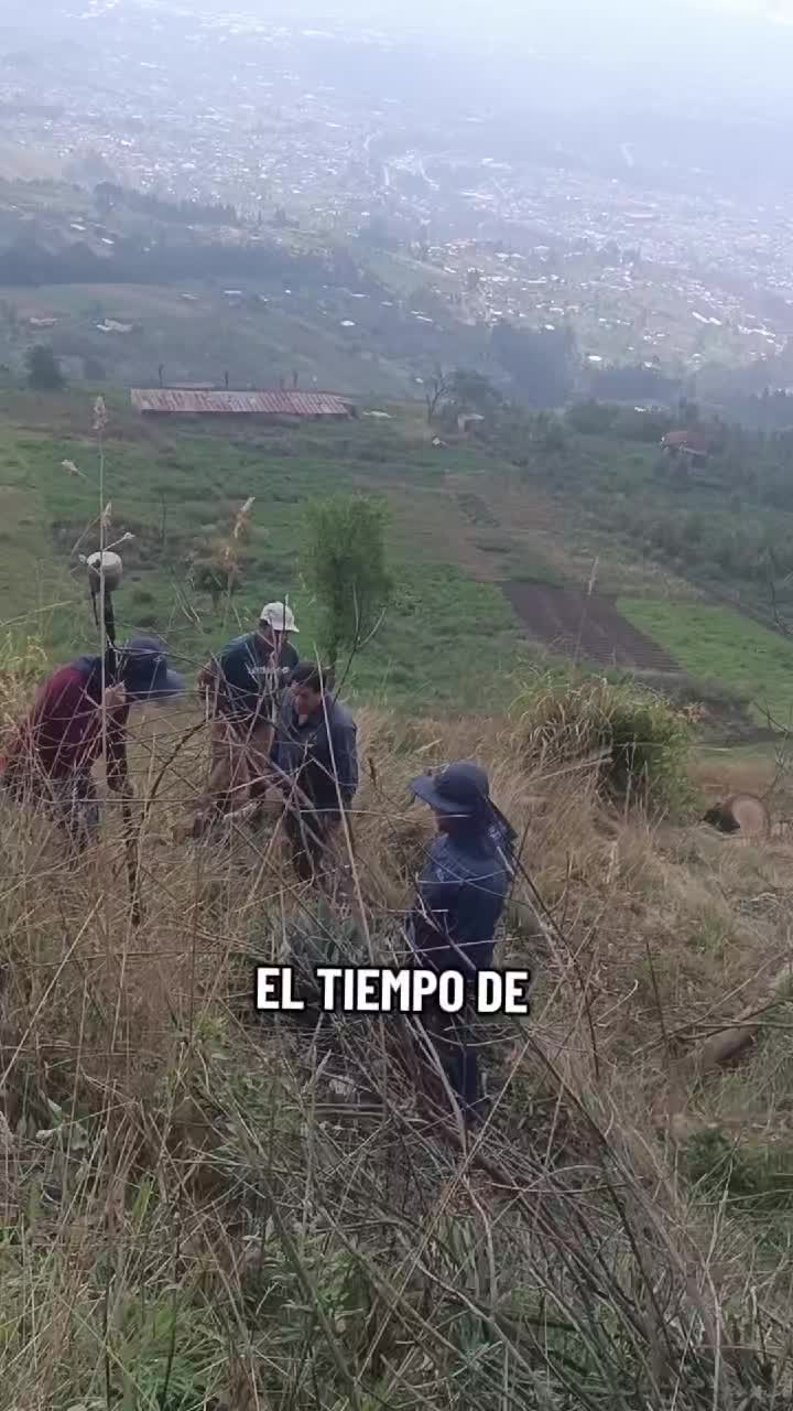 @Jesus Tiban