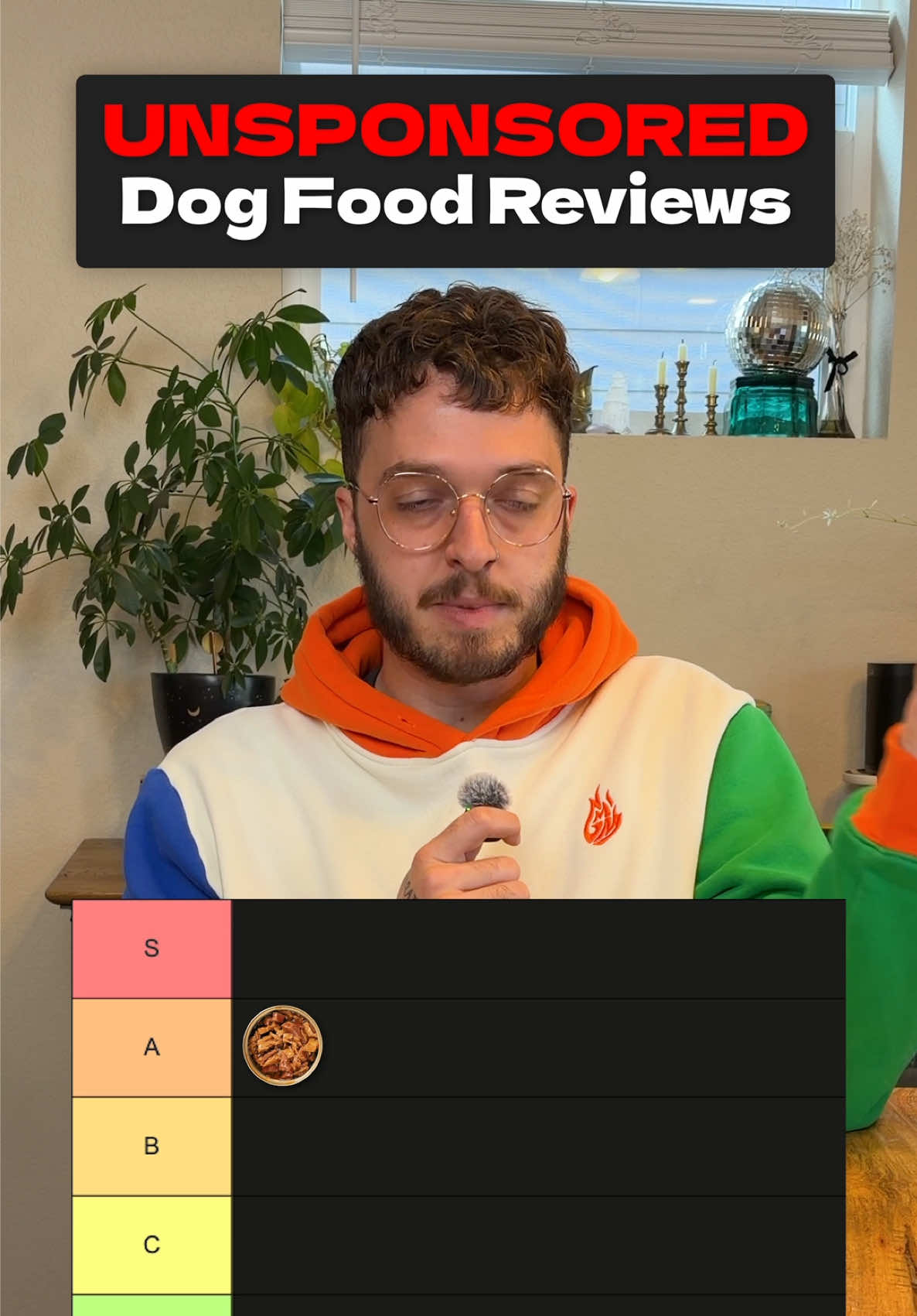 @The BK Pets - Dog Food Tips