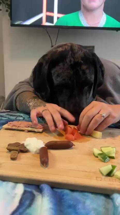 @Leotheleopardlab
