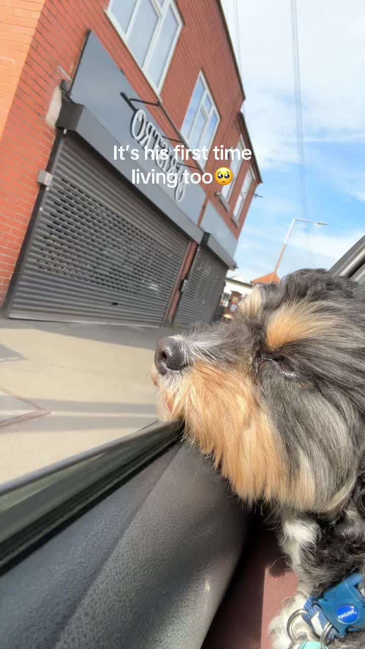 @brittanytolleyx