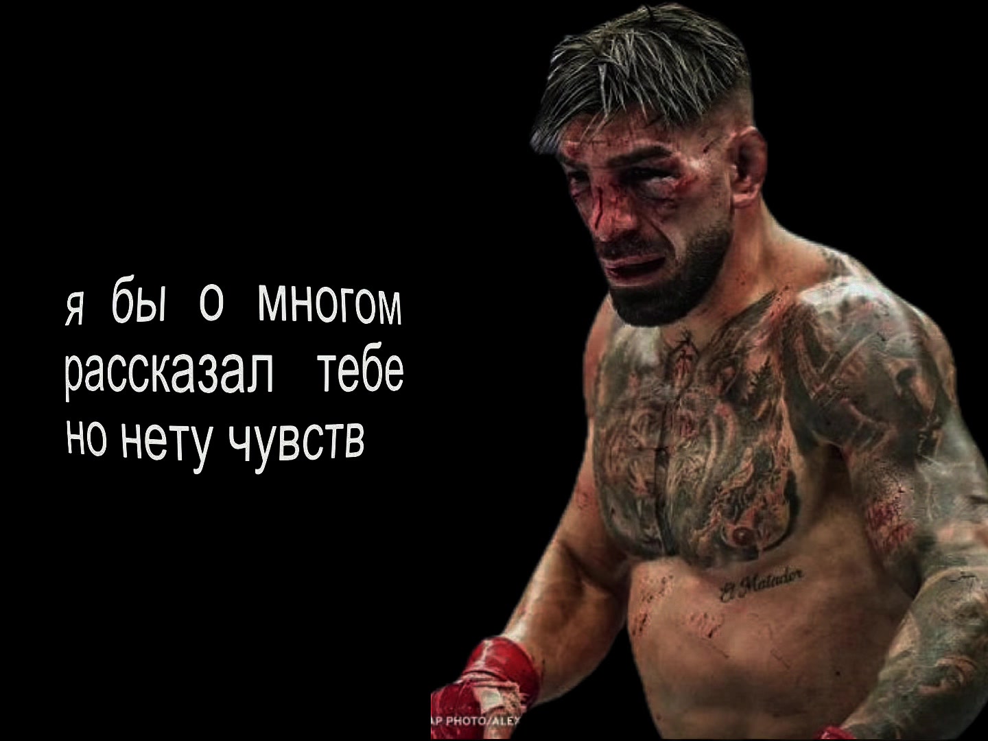 @safin#tiger