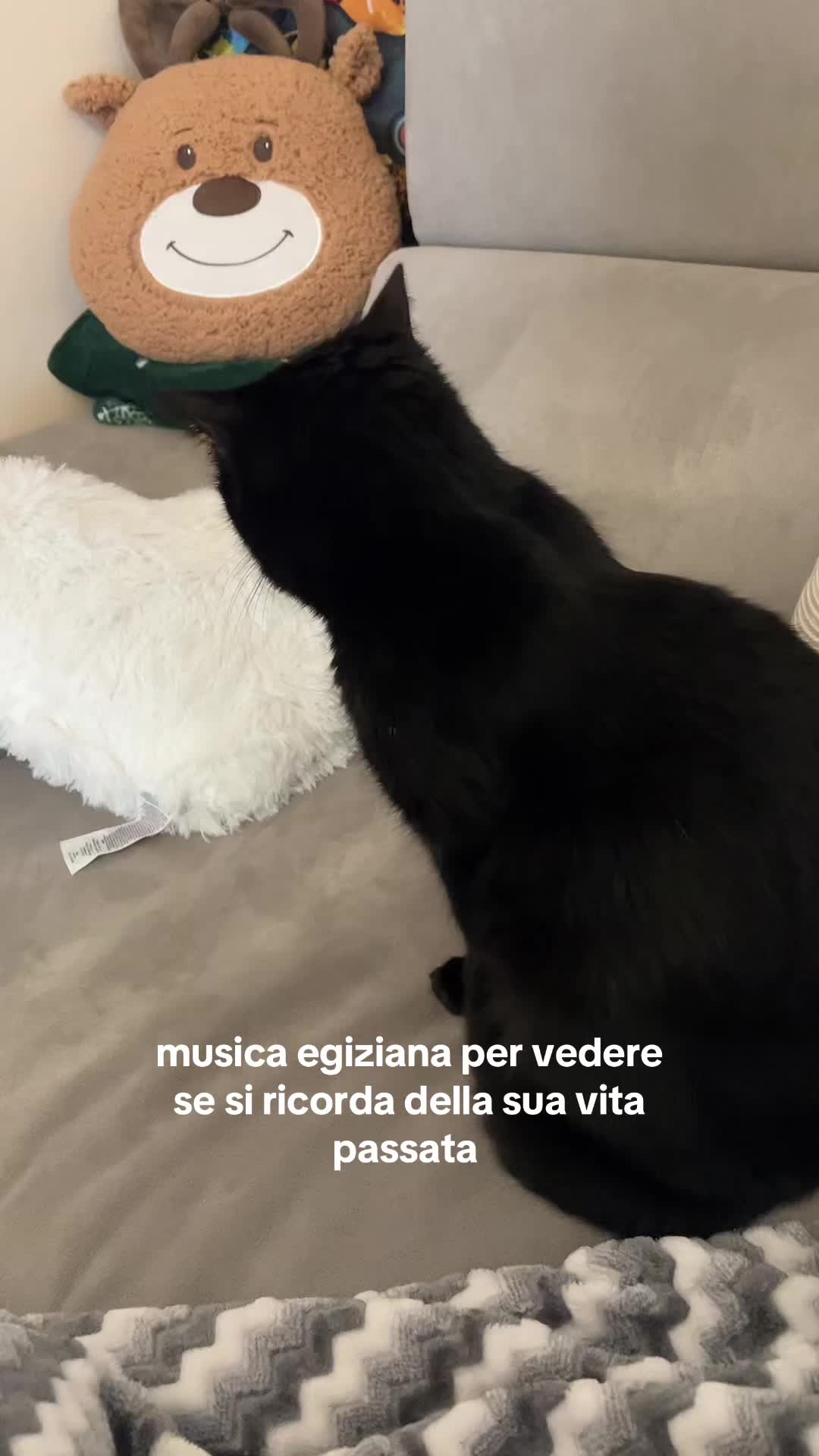 @auri