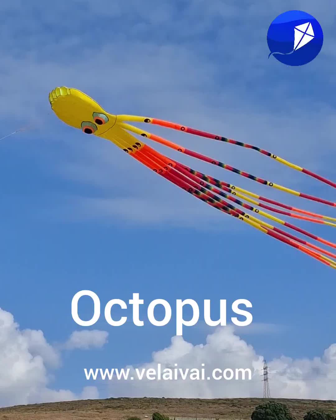 @Velaivai cometas