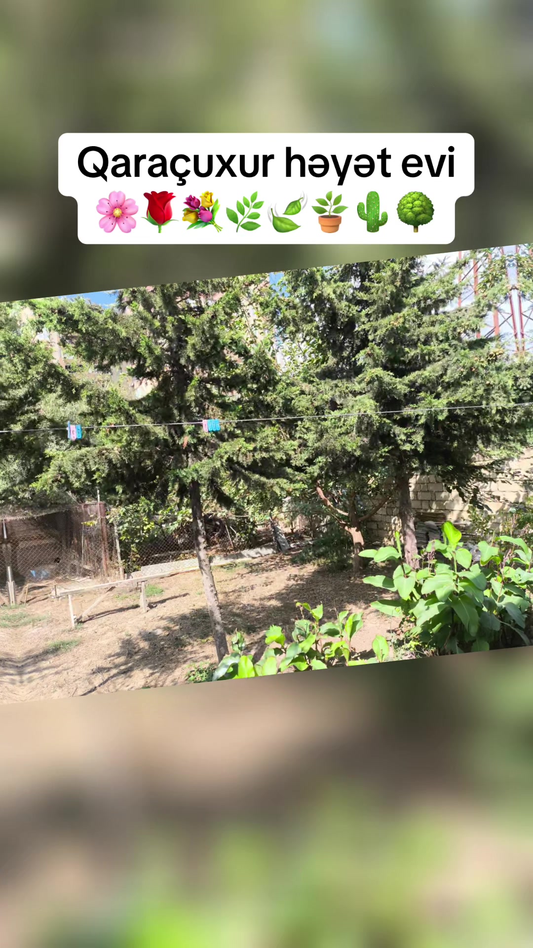 @Emlakci_ Xanım