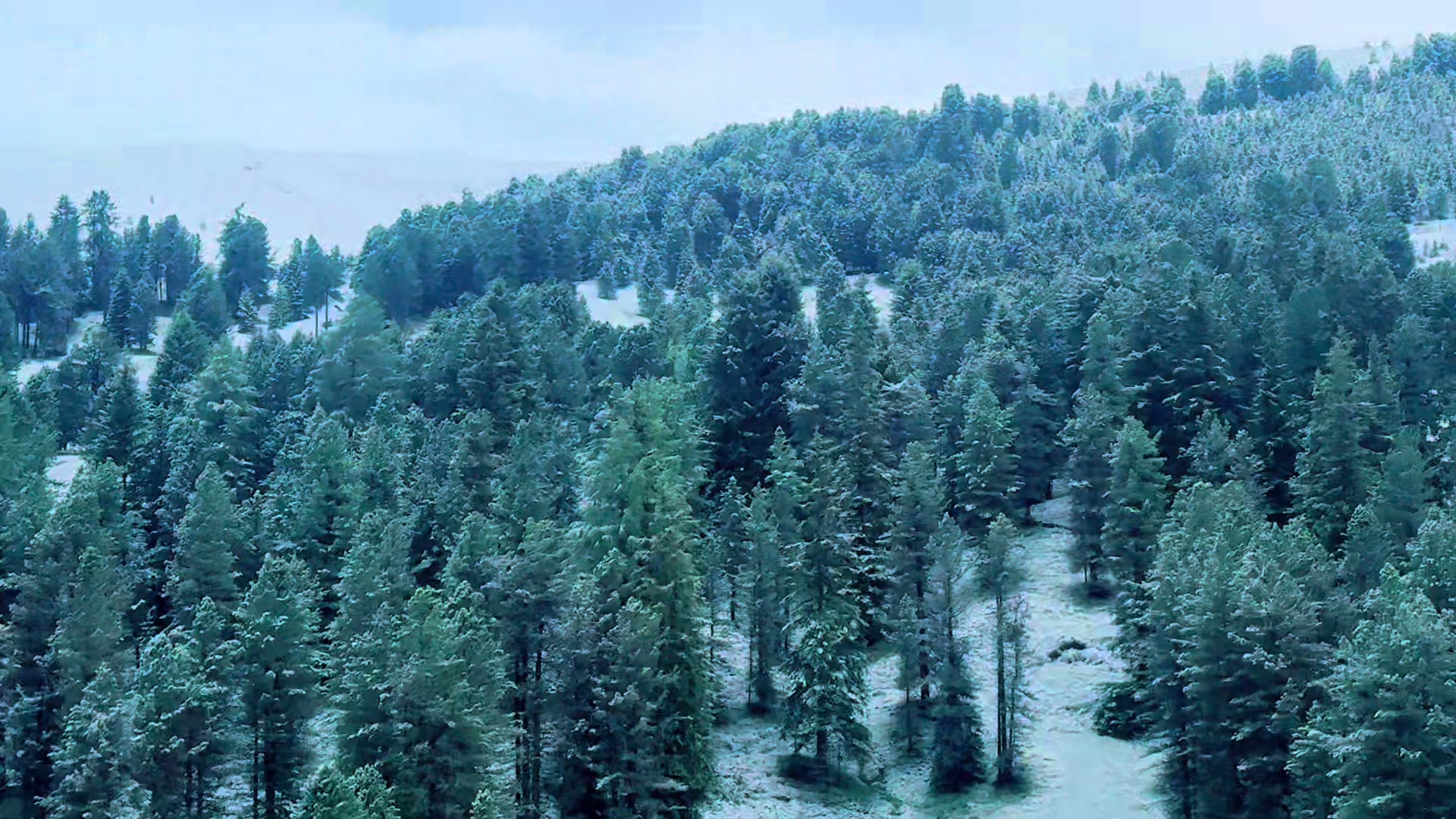 @Nabeel Aazad📈🏔️