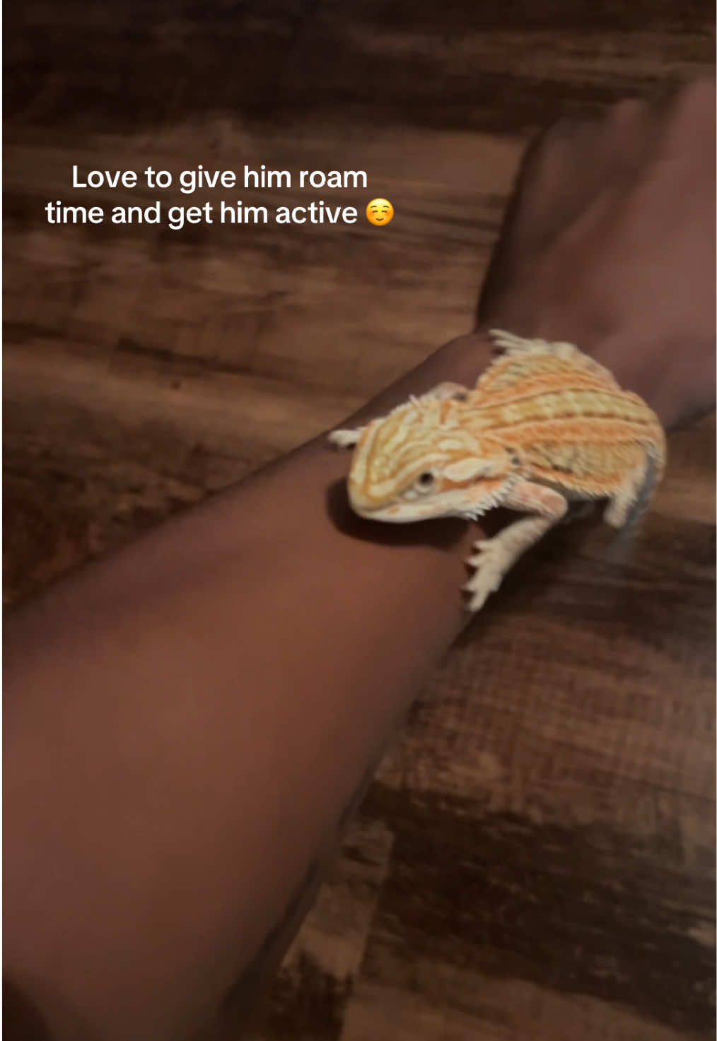 @Mezzy 🦎
