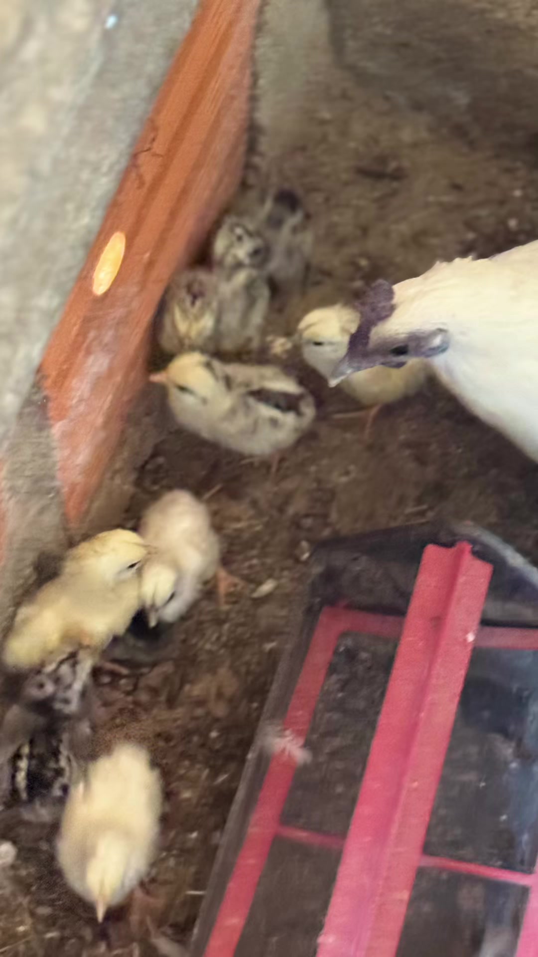 @Sandra