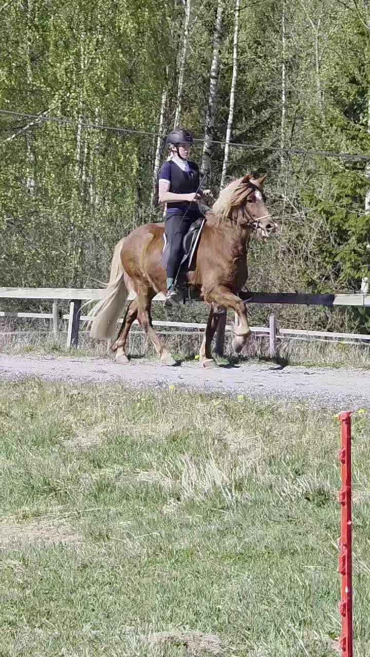 @Madelen Østtveiten Andersen 💗
