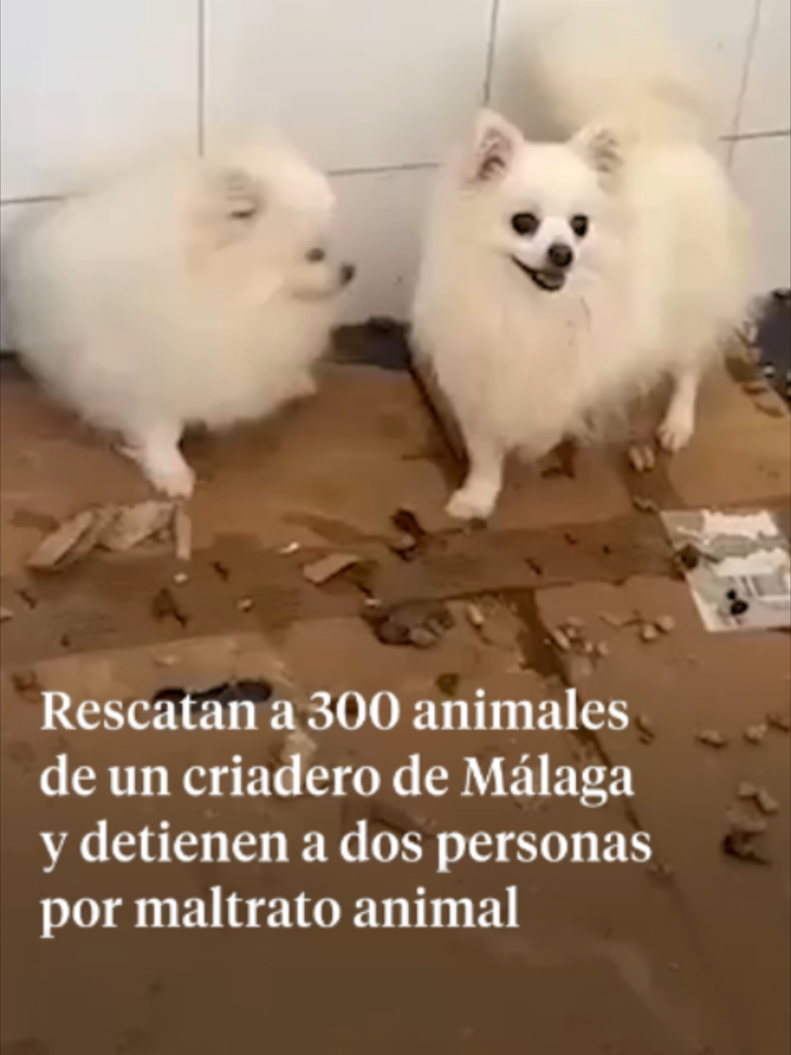 @La Vanguardia 🗞