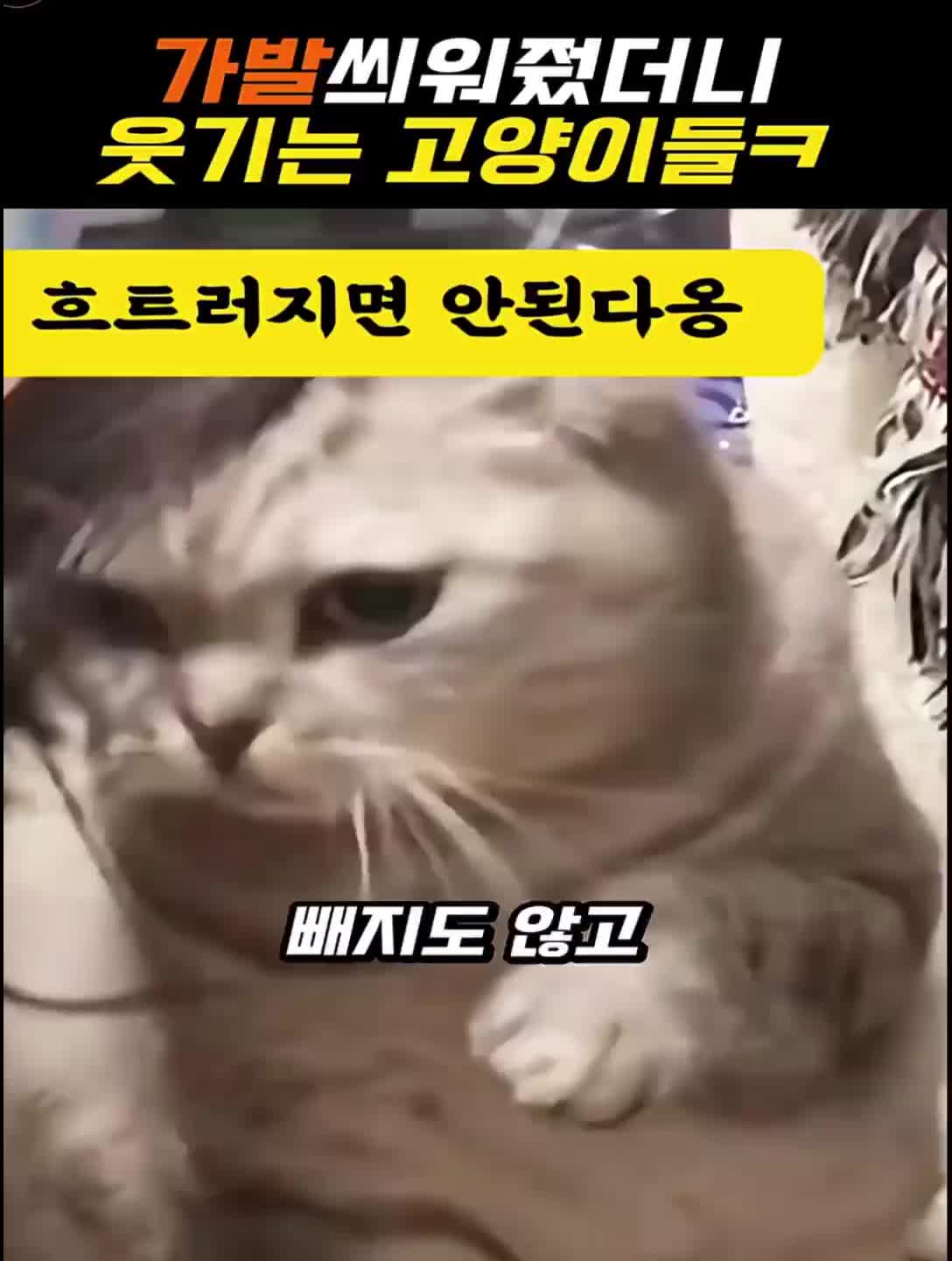 @user4573250331230