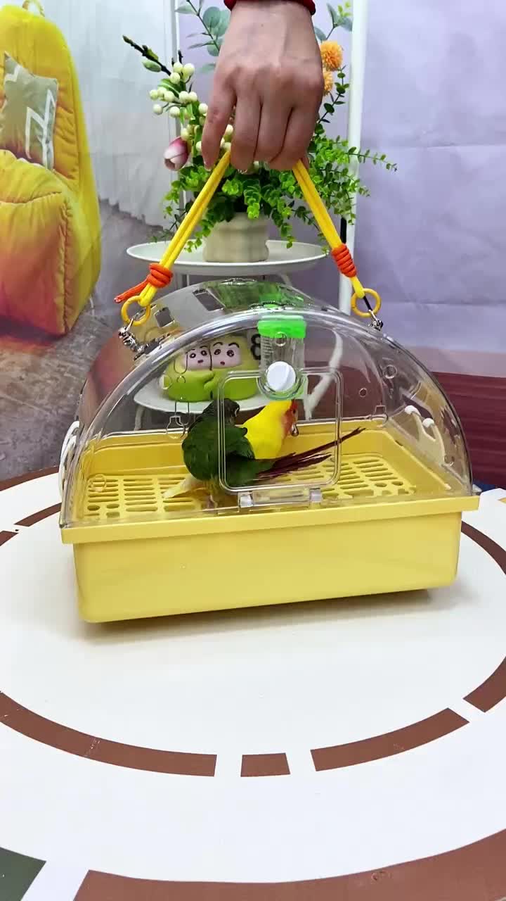 @chinabirds47