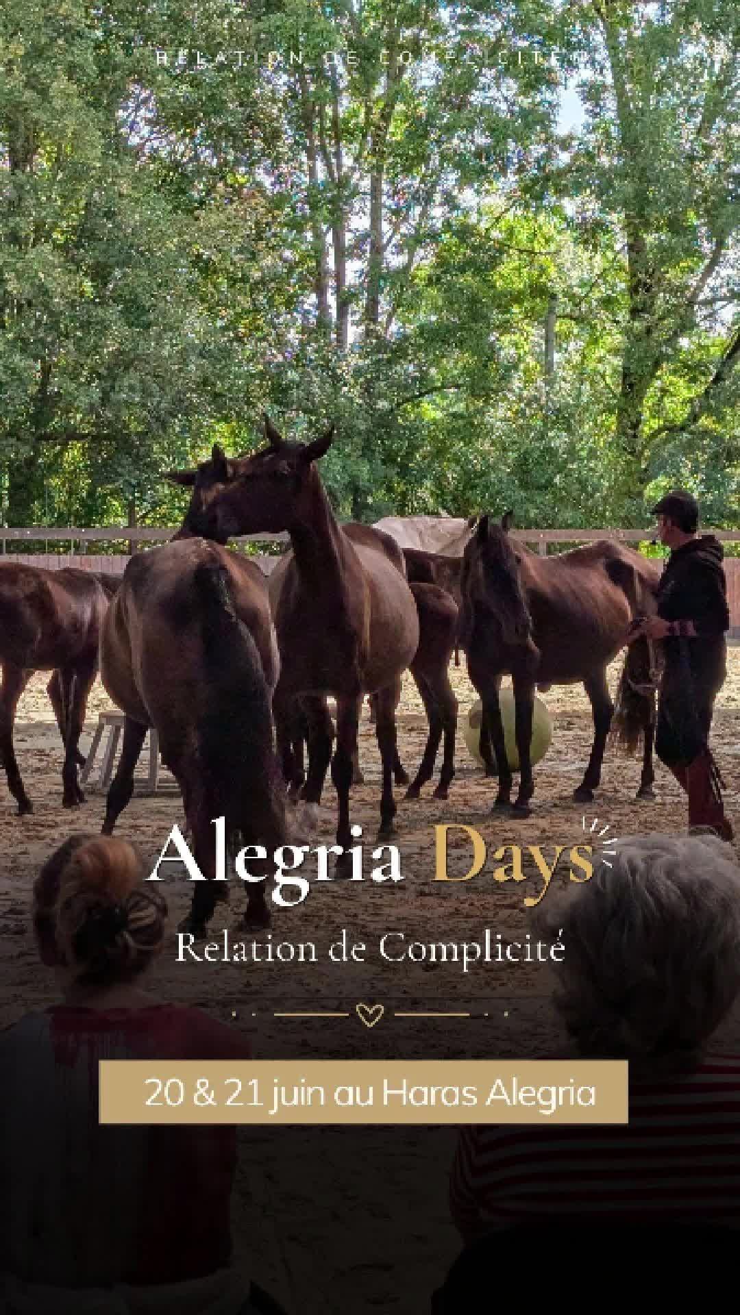 @Alegria Relation de Complicit&eacute;