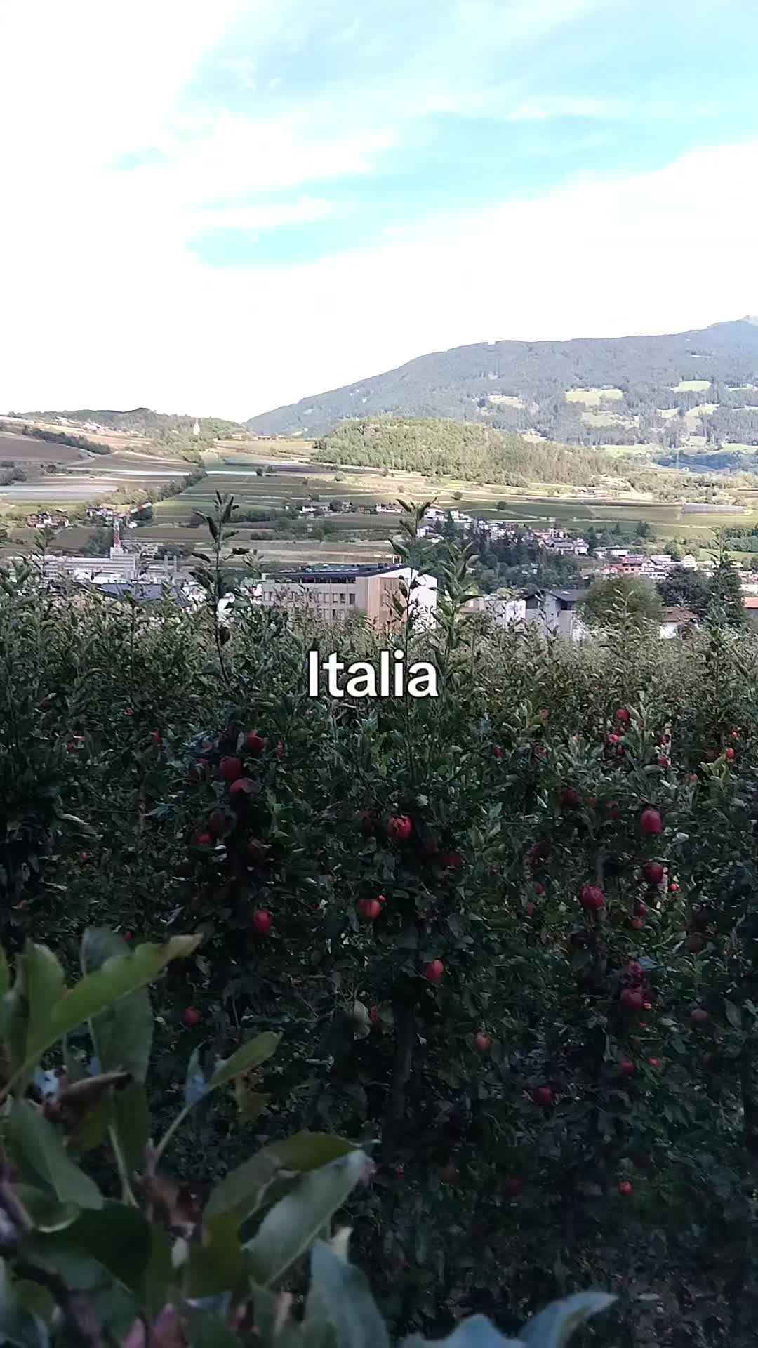 @Mariuta Rus