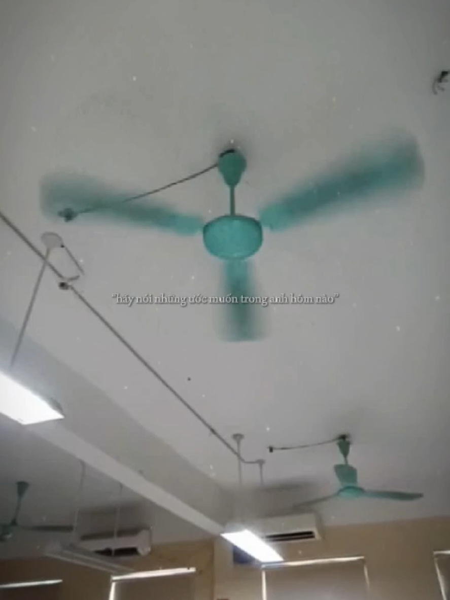 @ceiling fan is vietnam
