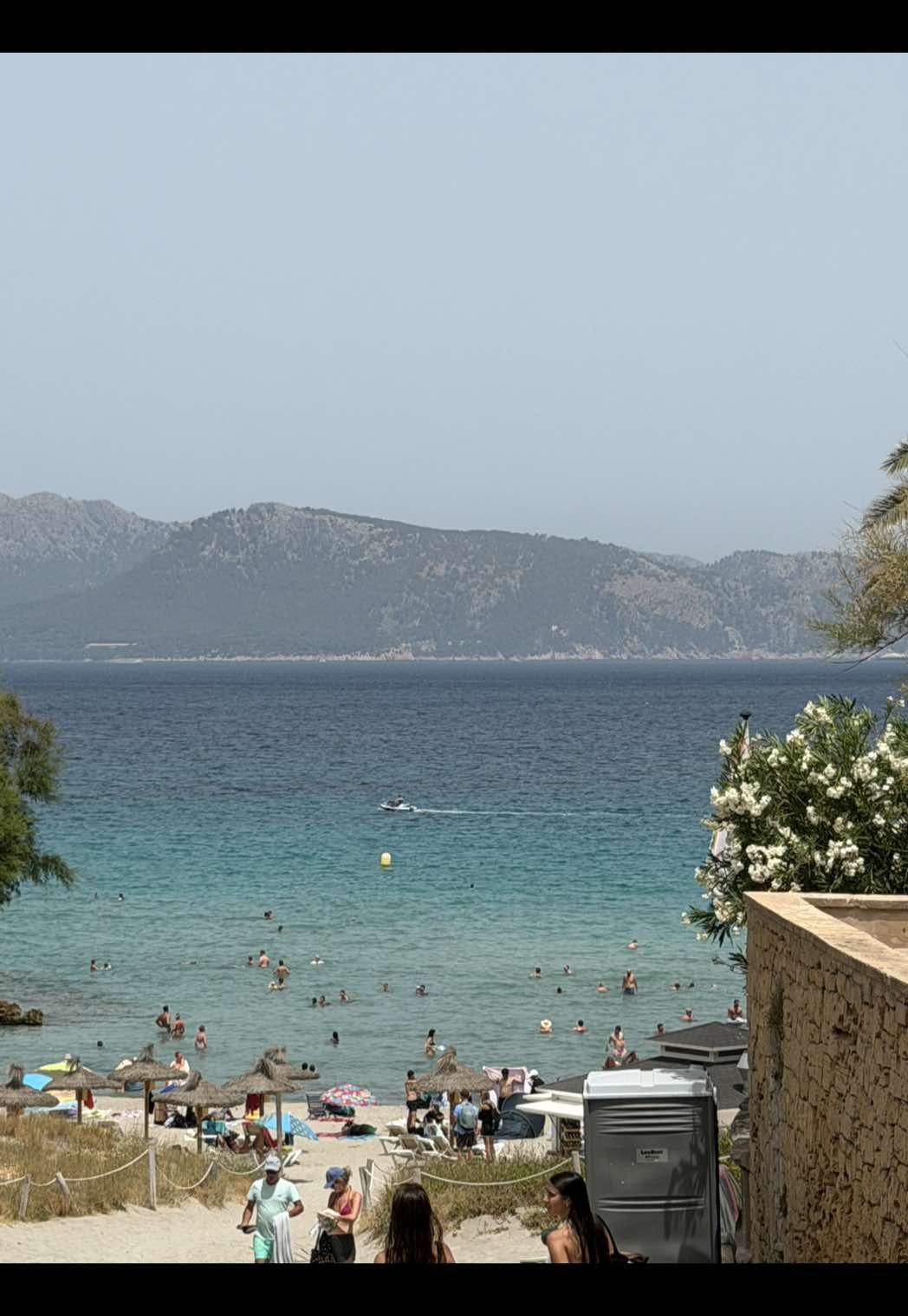 @ines soler