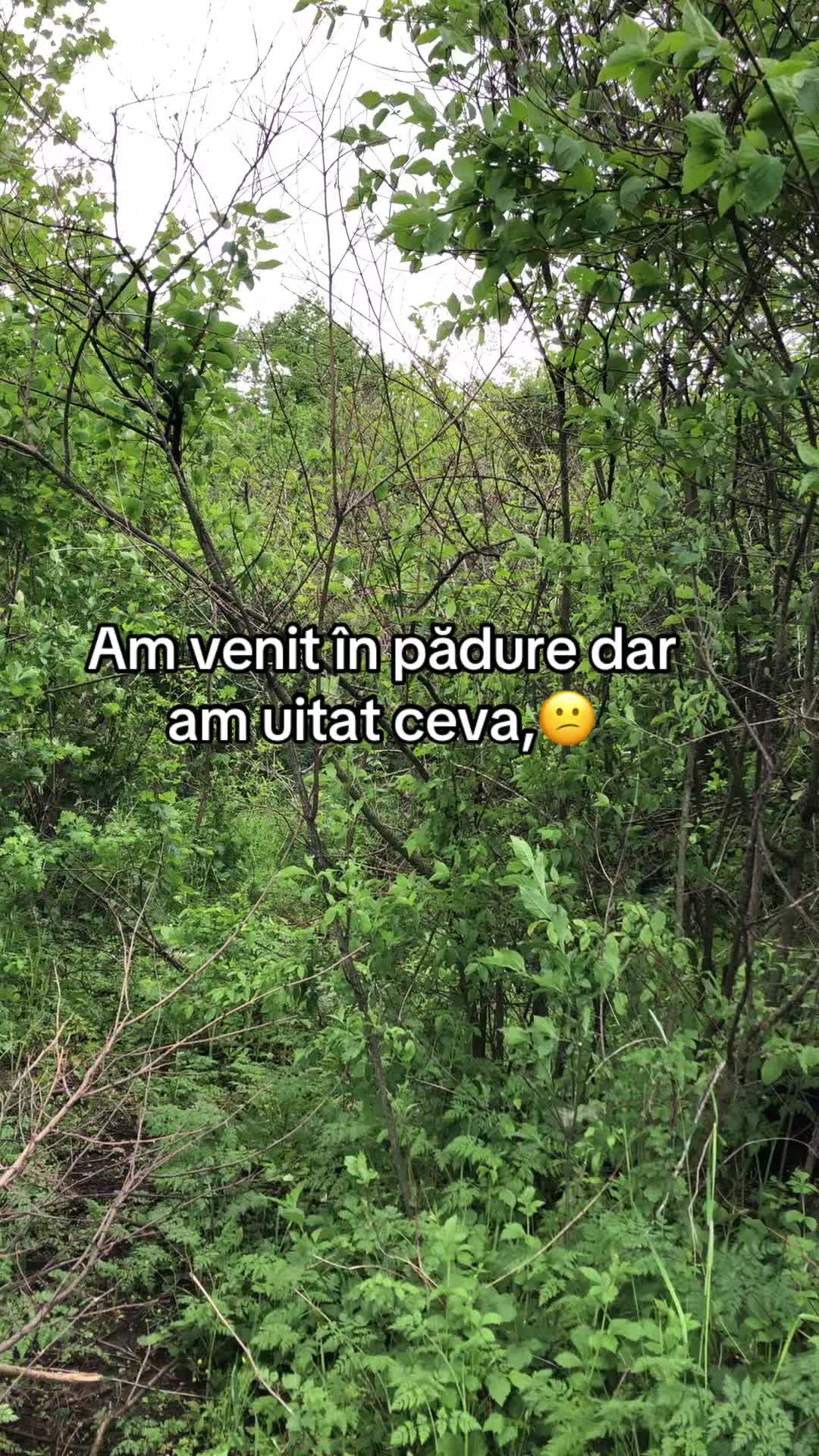 @🦅