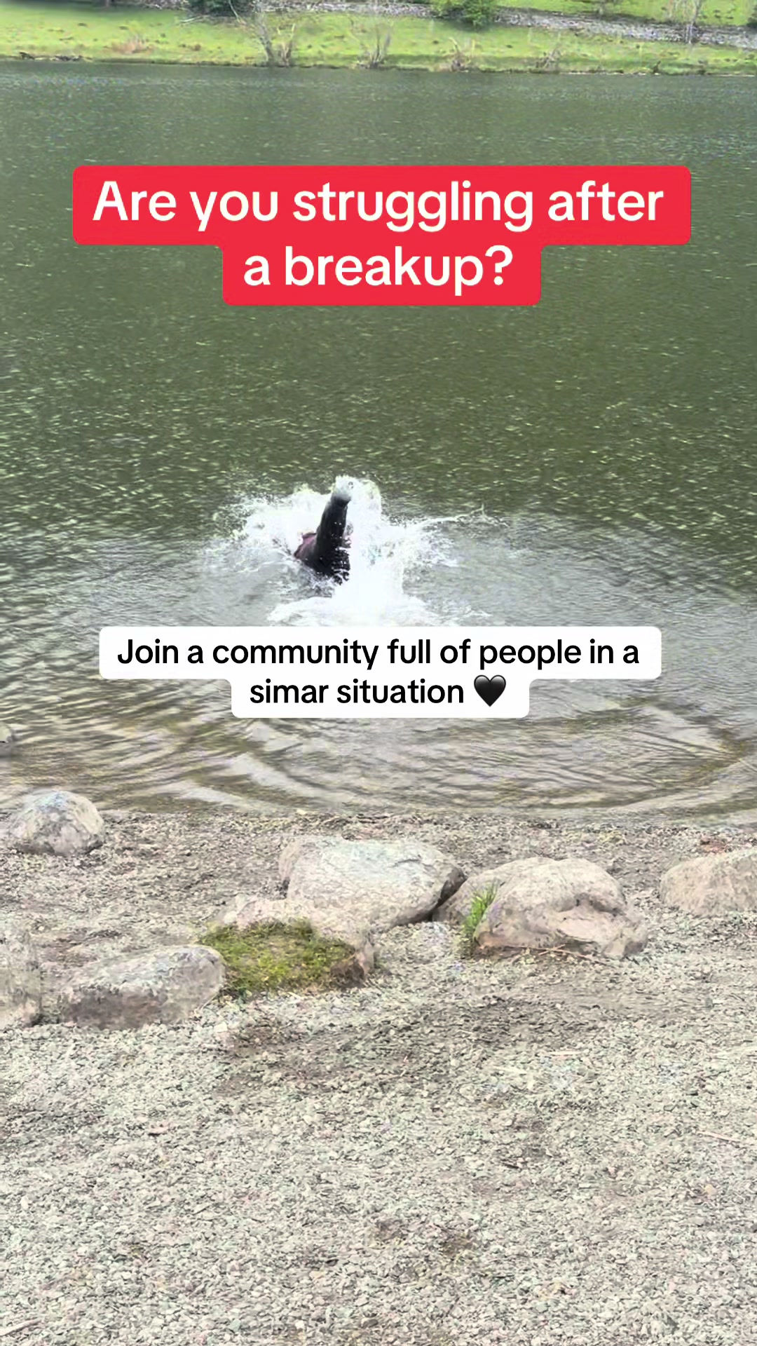 @Lifted Spirits Community
