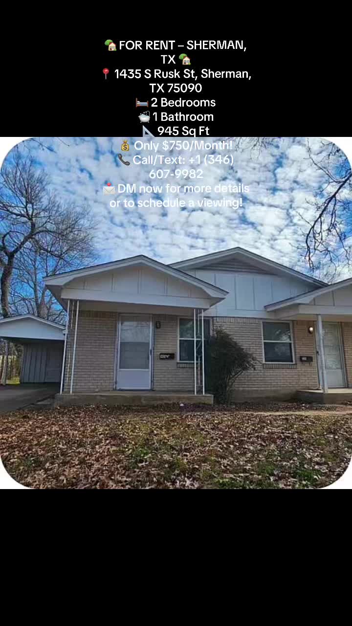 @lowbudget house rent