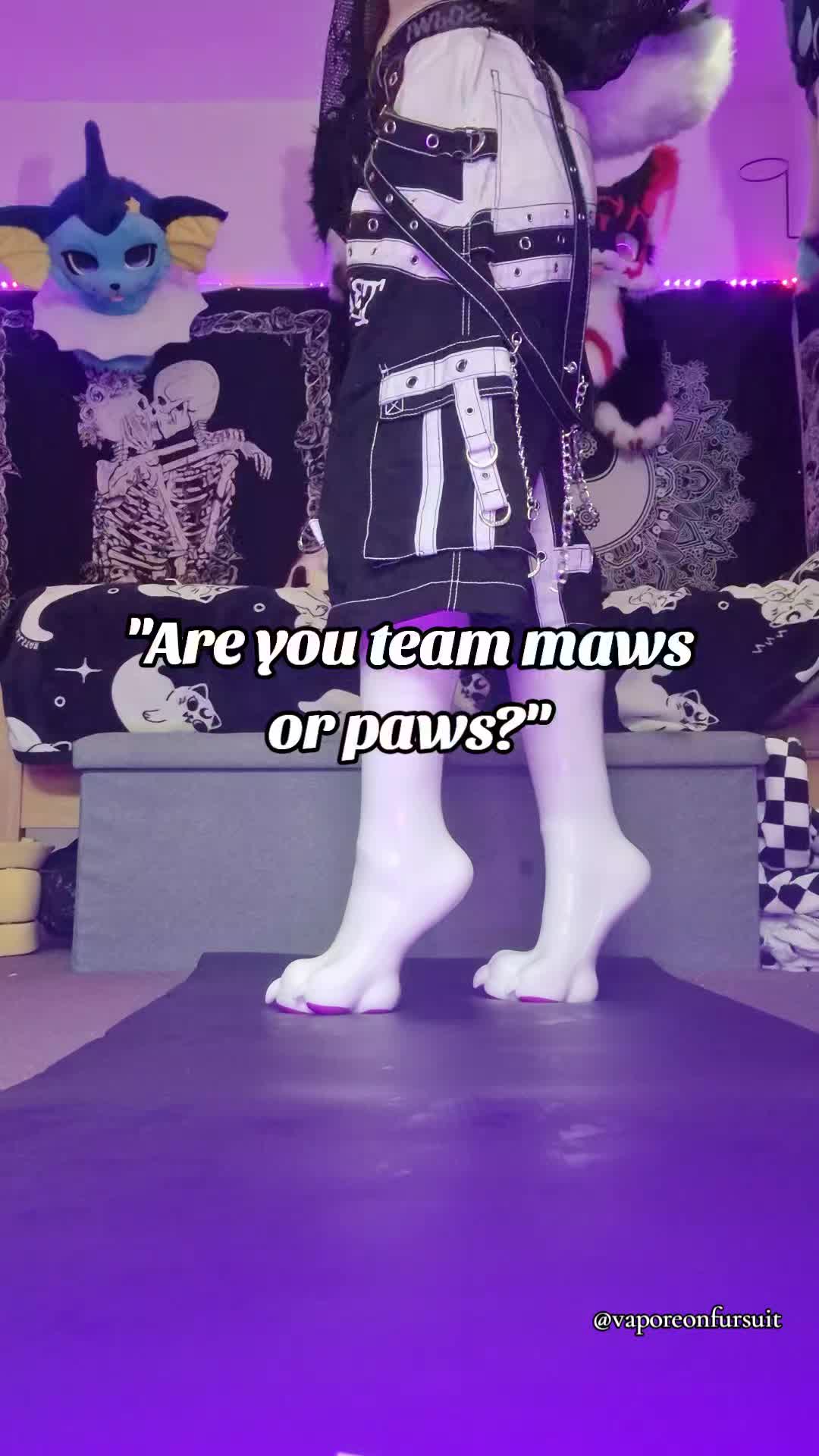 @Bailey (lilpixiekitten)