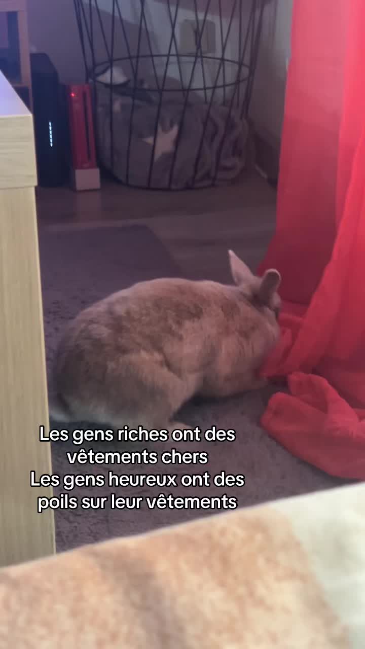 @FaustineBW